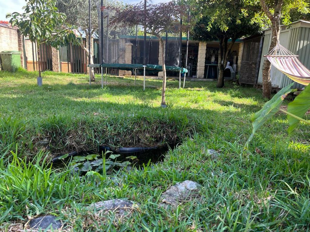 La Casa De Las Ranas 博伊奥 外观 照片