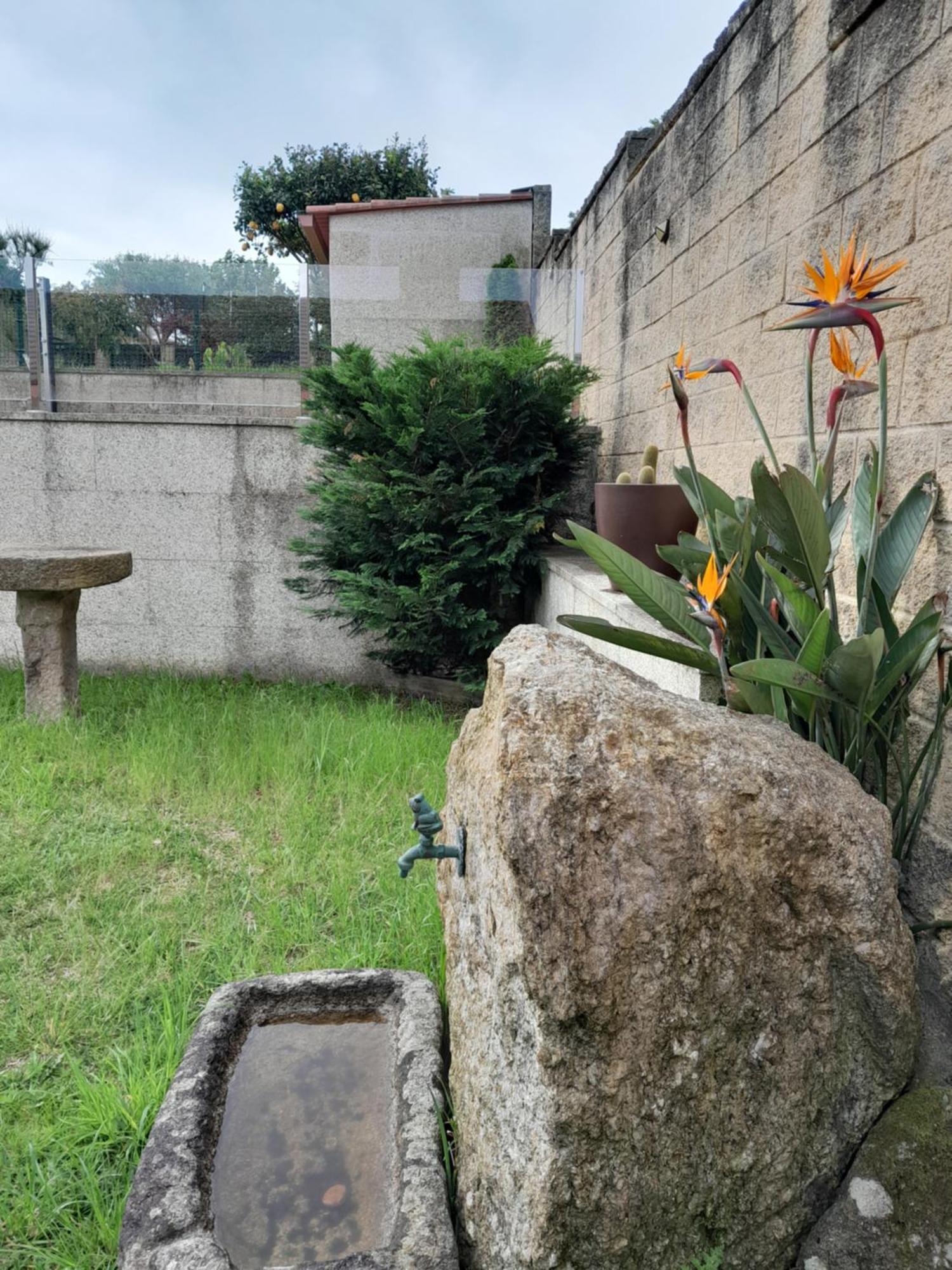 La Casa De Las Ranas 博伊奥 外观 照片